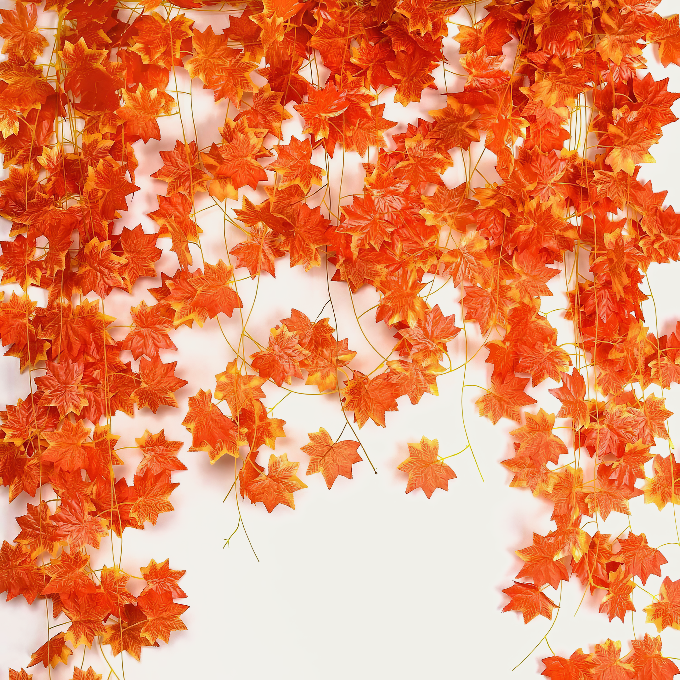 Aesthetic Autumn vines for decor