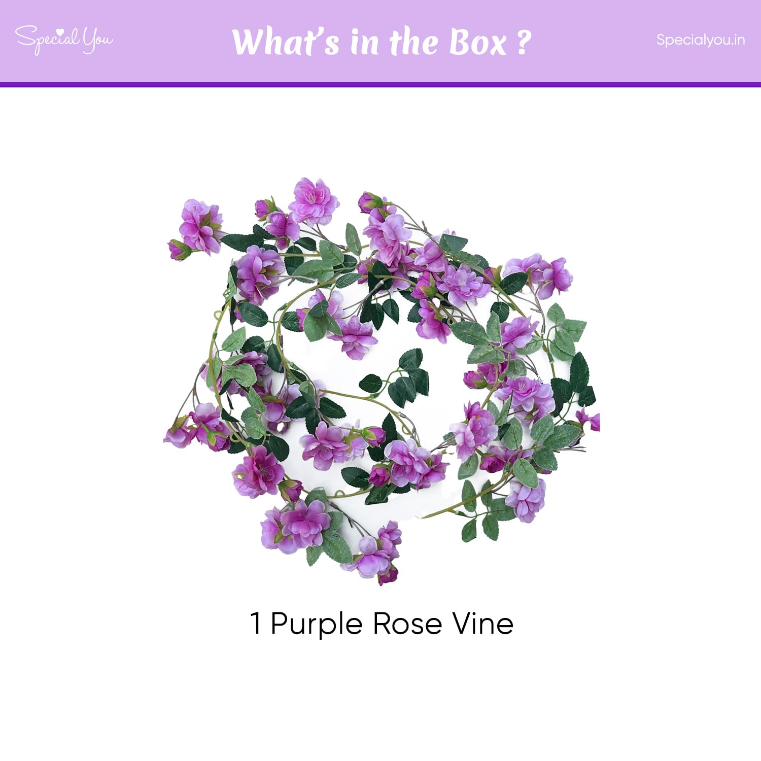 purple rose
