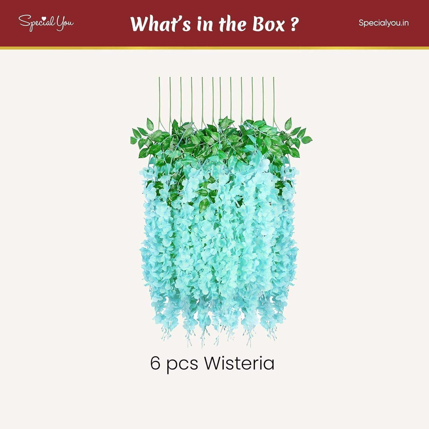 Blue Wisteria for Festive Decor