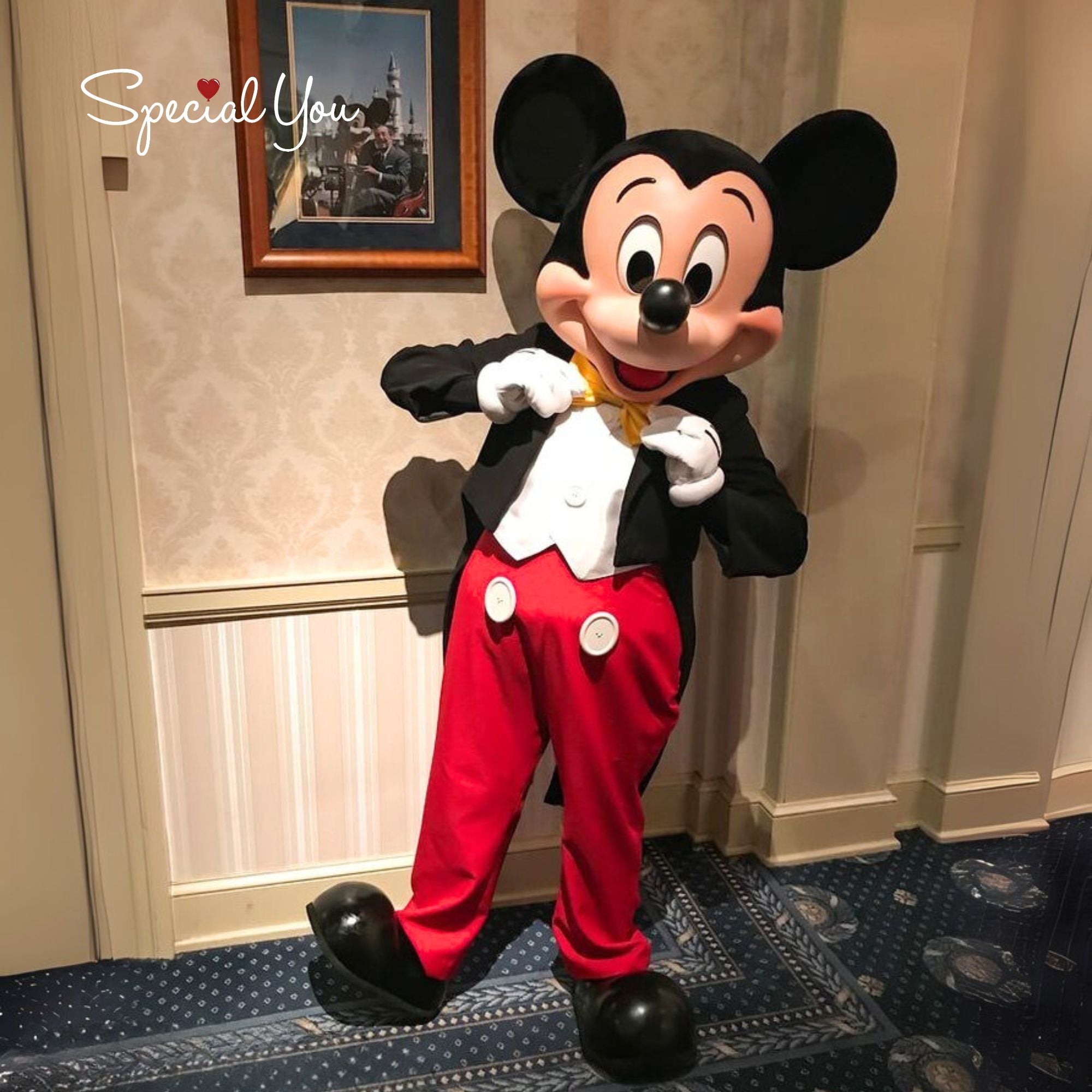 Live Cartoon Mascots For Kids Birthday Party