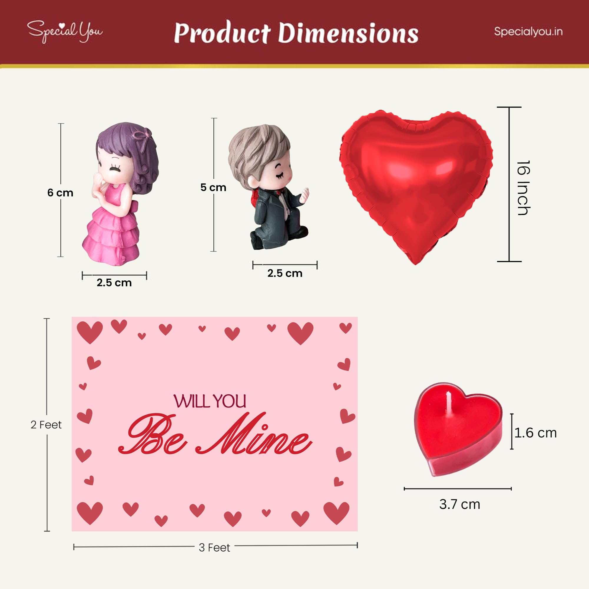 Will You Be Mine Backdrop and balloon combo for Valentine