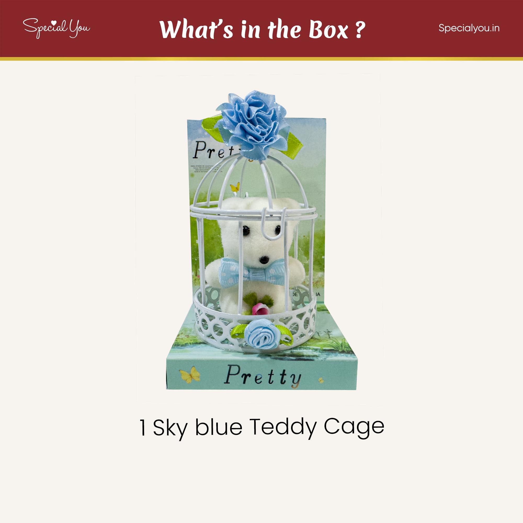 Blue Teddy Cage Gift