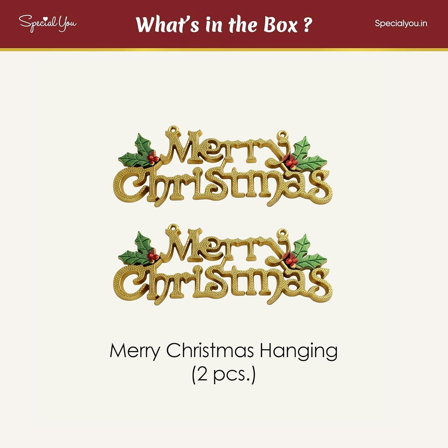 Merry Christmas Hanging