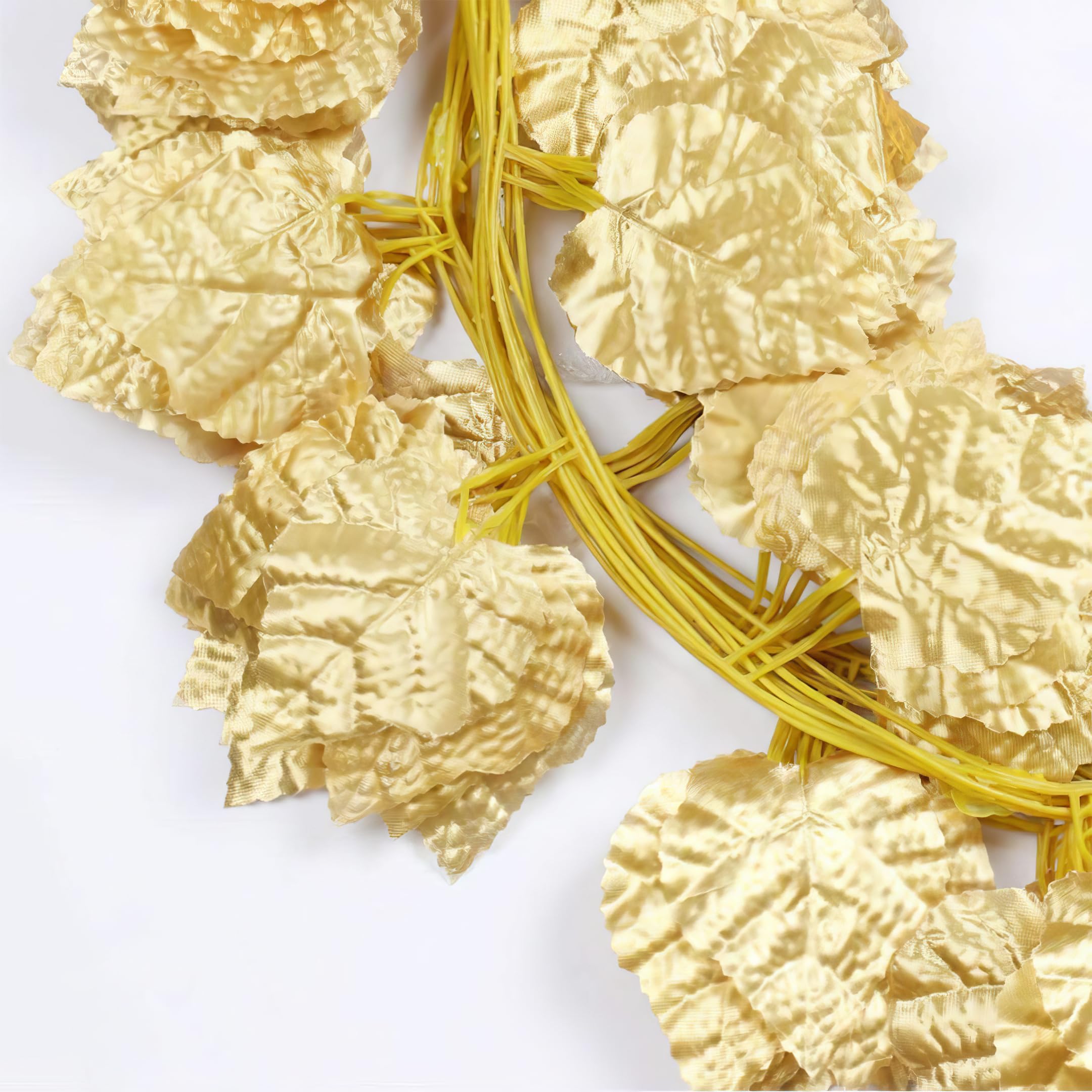 maple vines