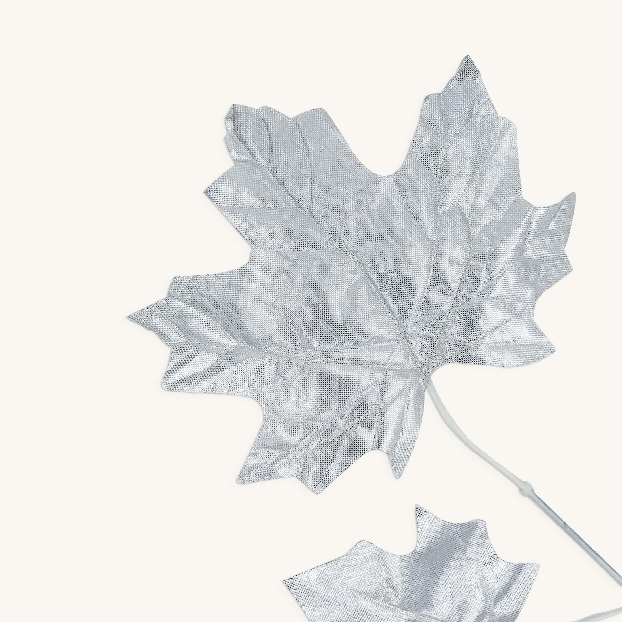 silver maple leaves