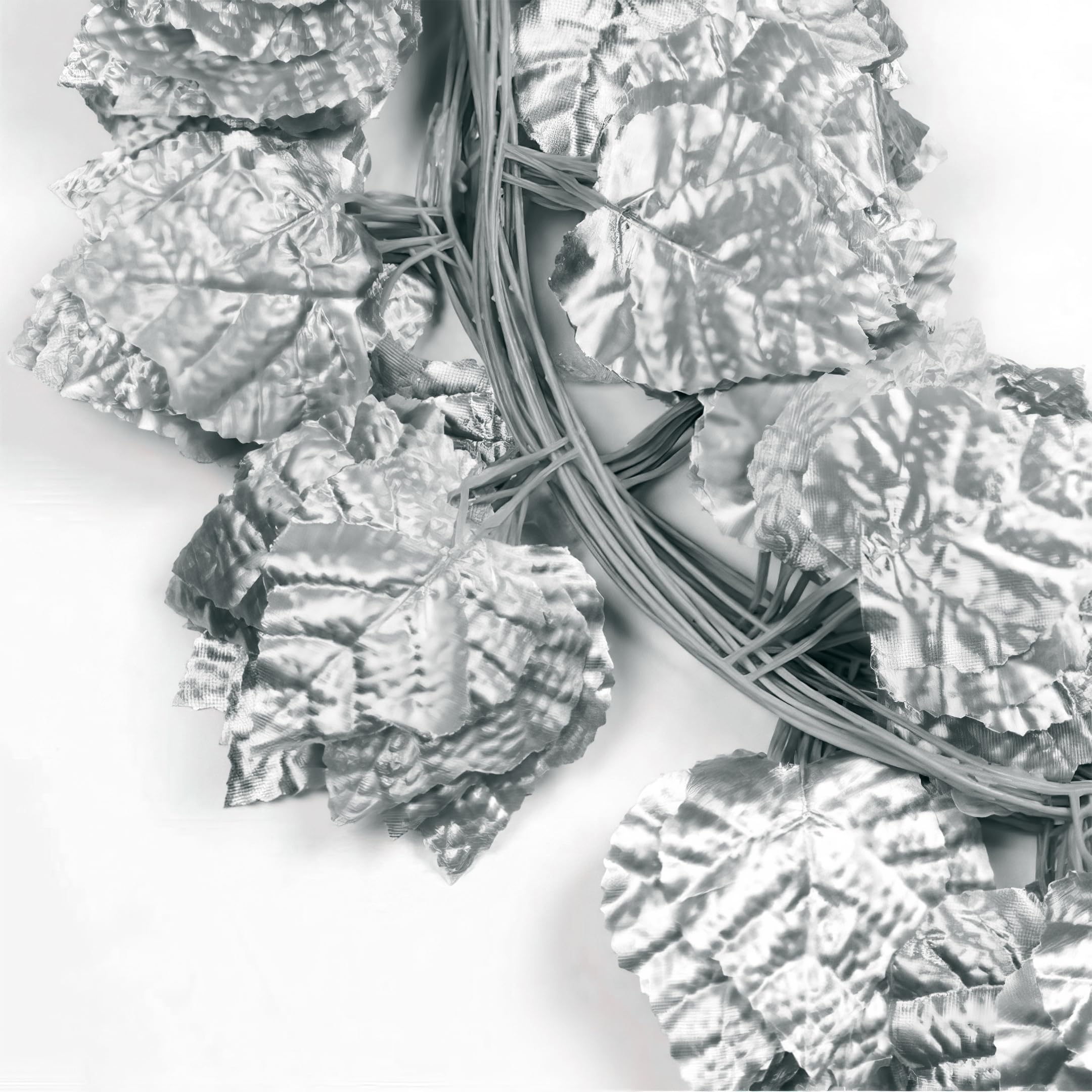 silver vines