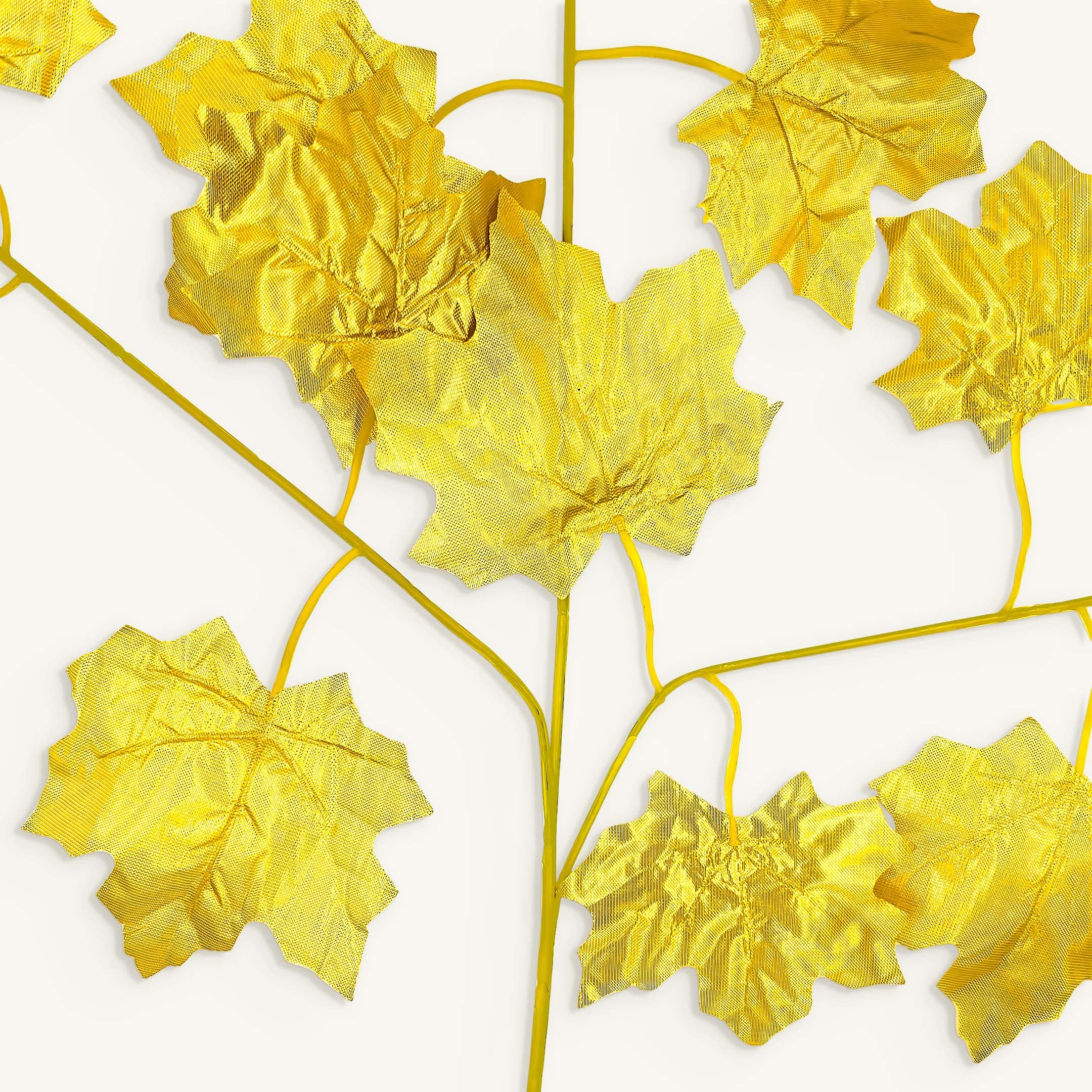 golden leaves