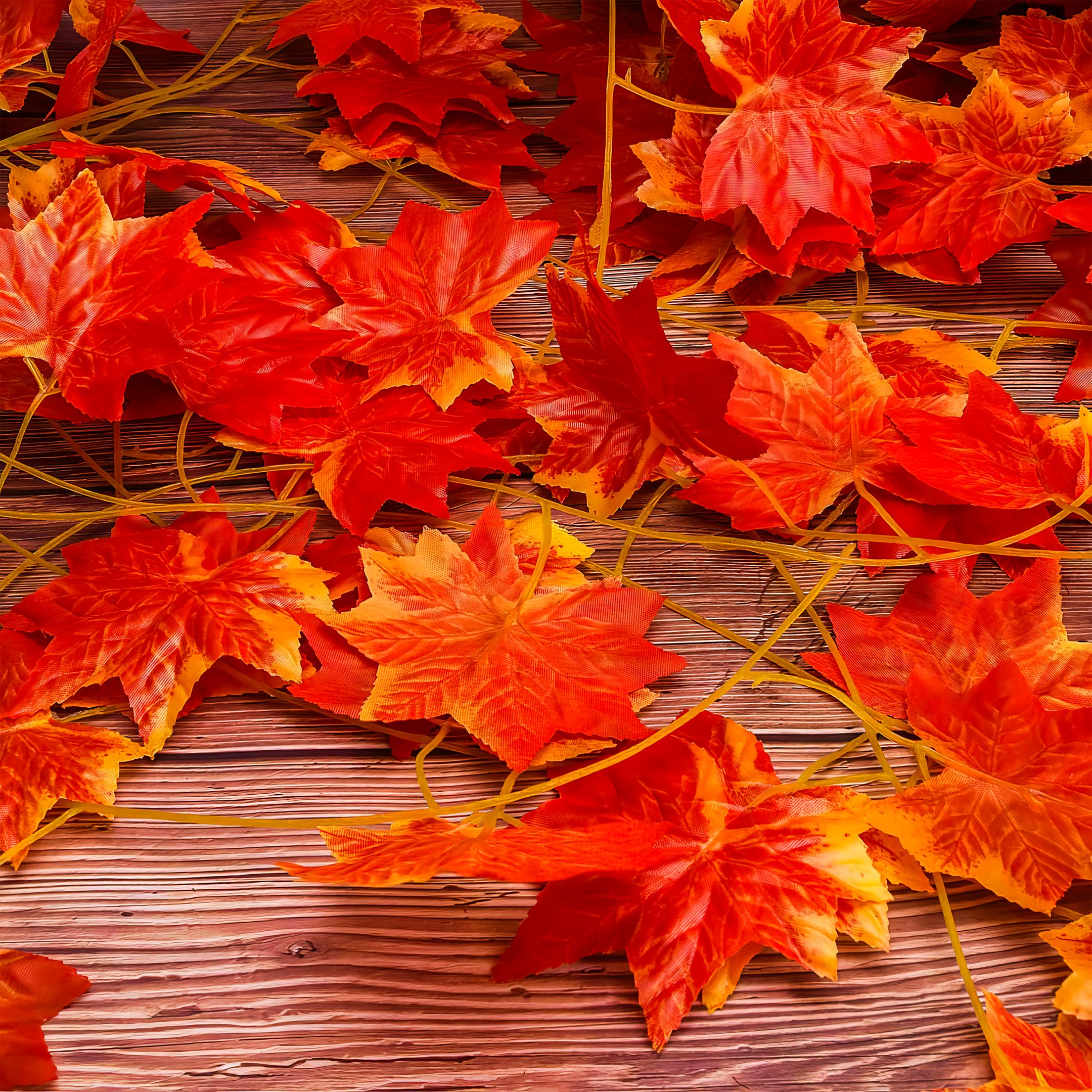 maple vines