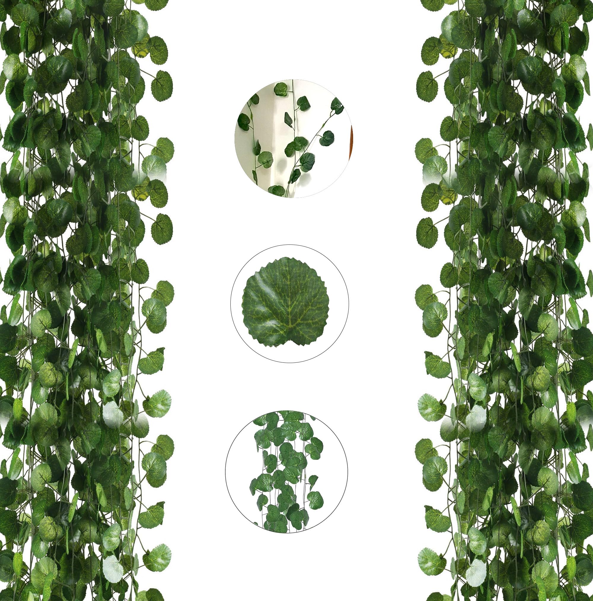 Attractive green vines for design in interiors