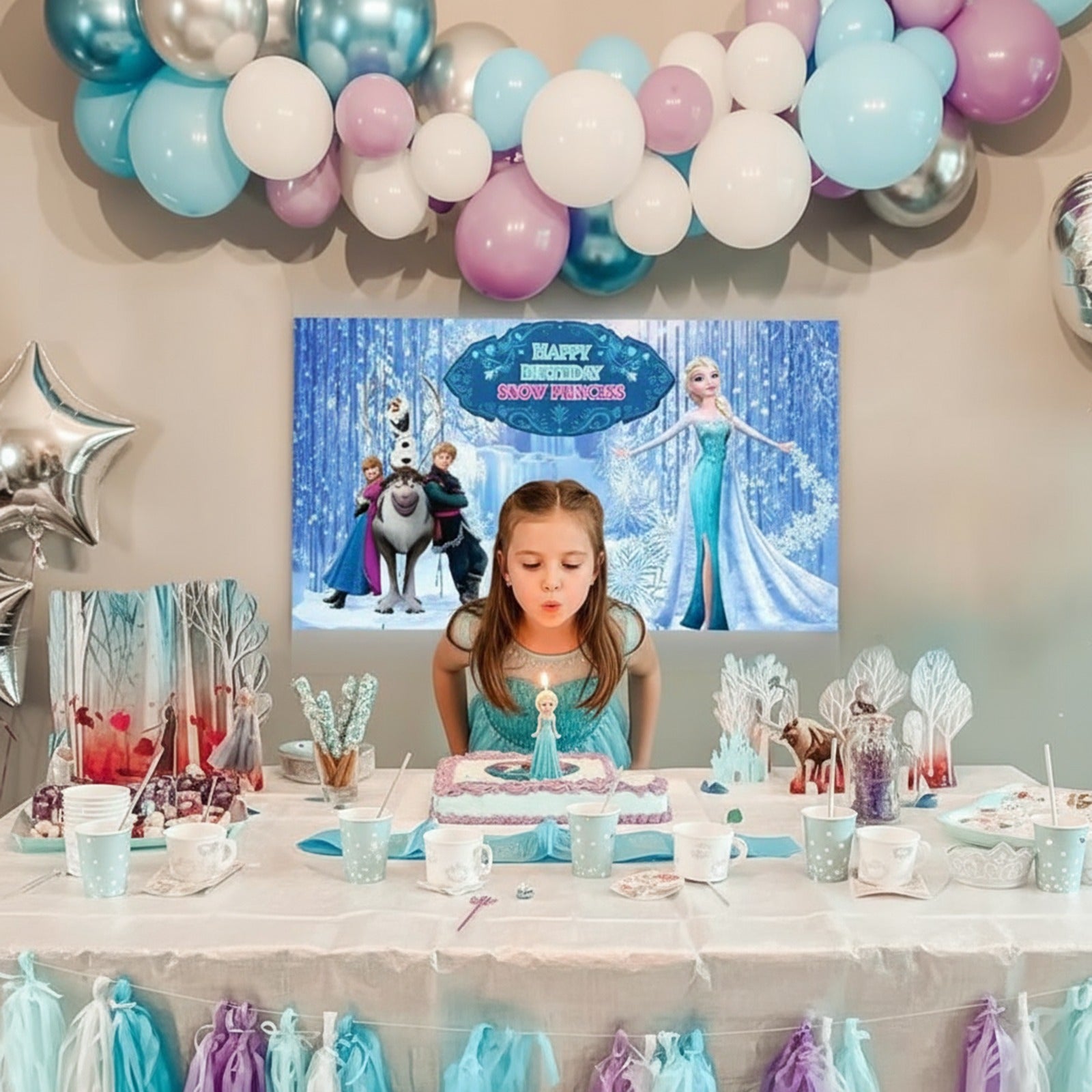 Frozen Theme Birthday Decoration Kit-66pcs