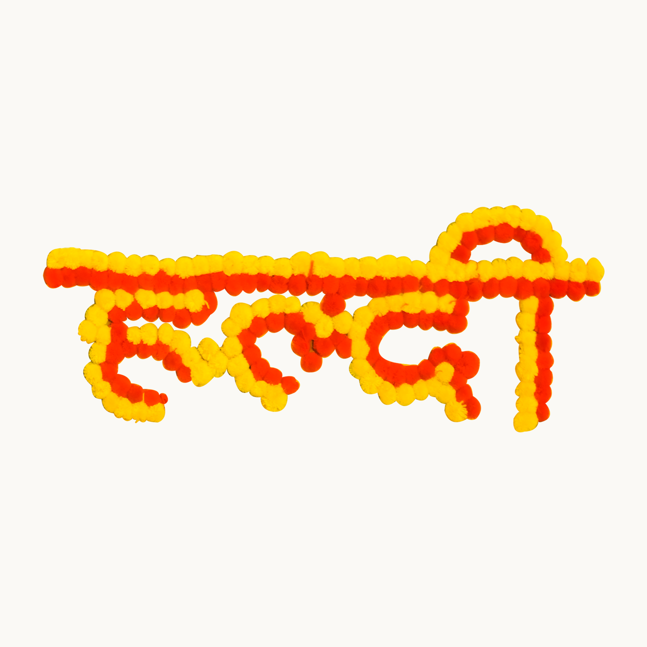 haldi banner