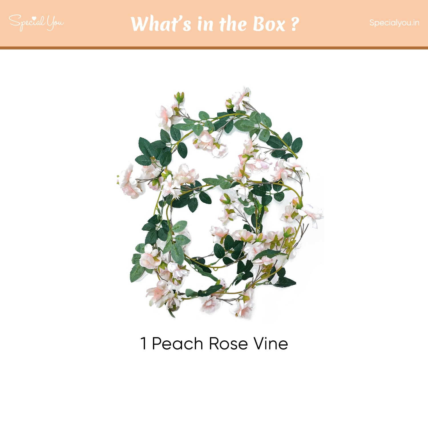 1 peach rose vine