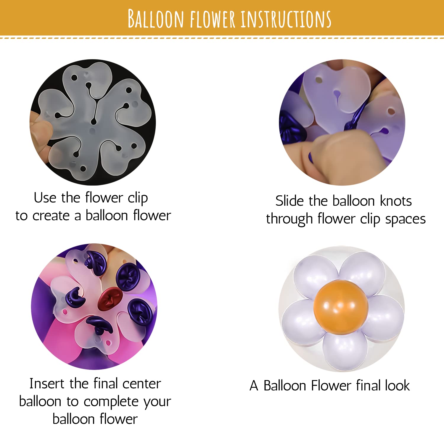 balloon flower