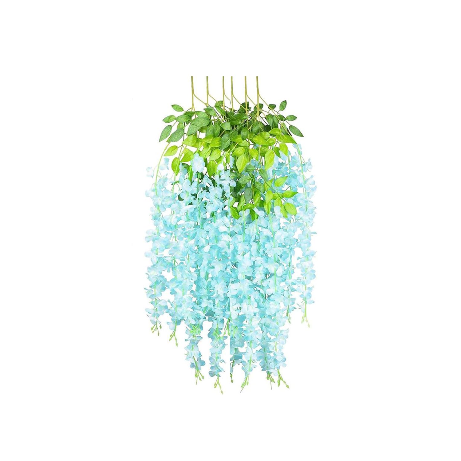 Blue Wisteria for Festive Decor