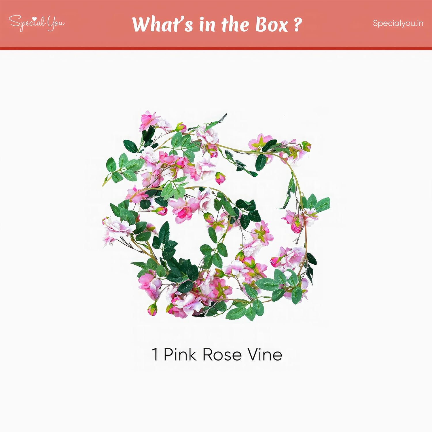 1 pink rose vine