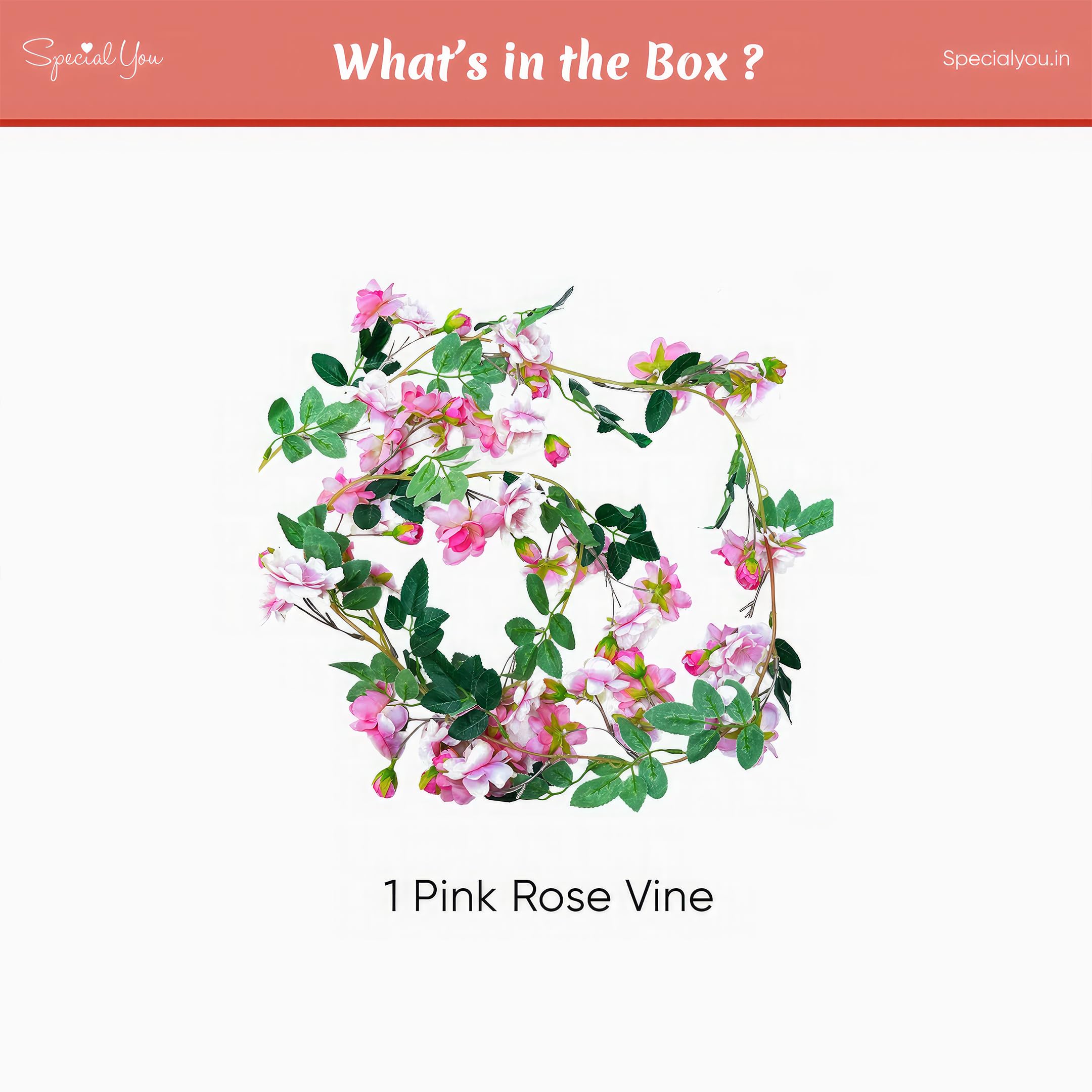 Pretty Pink Rose Vines