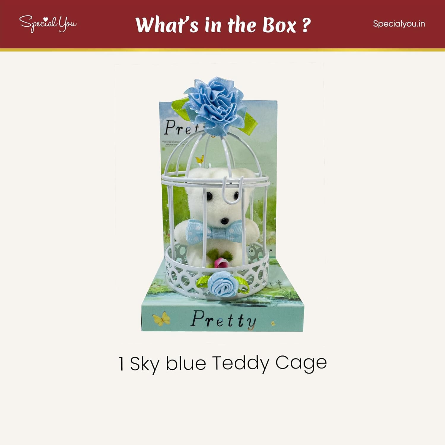 Blue Teddy Cage Gift