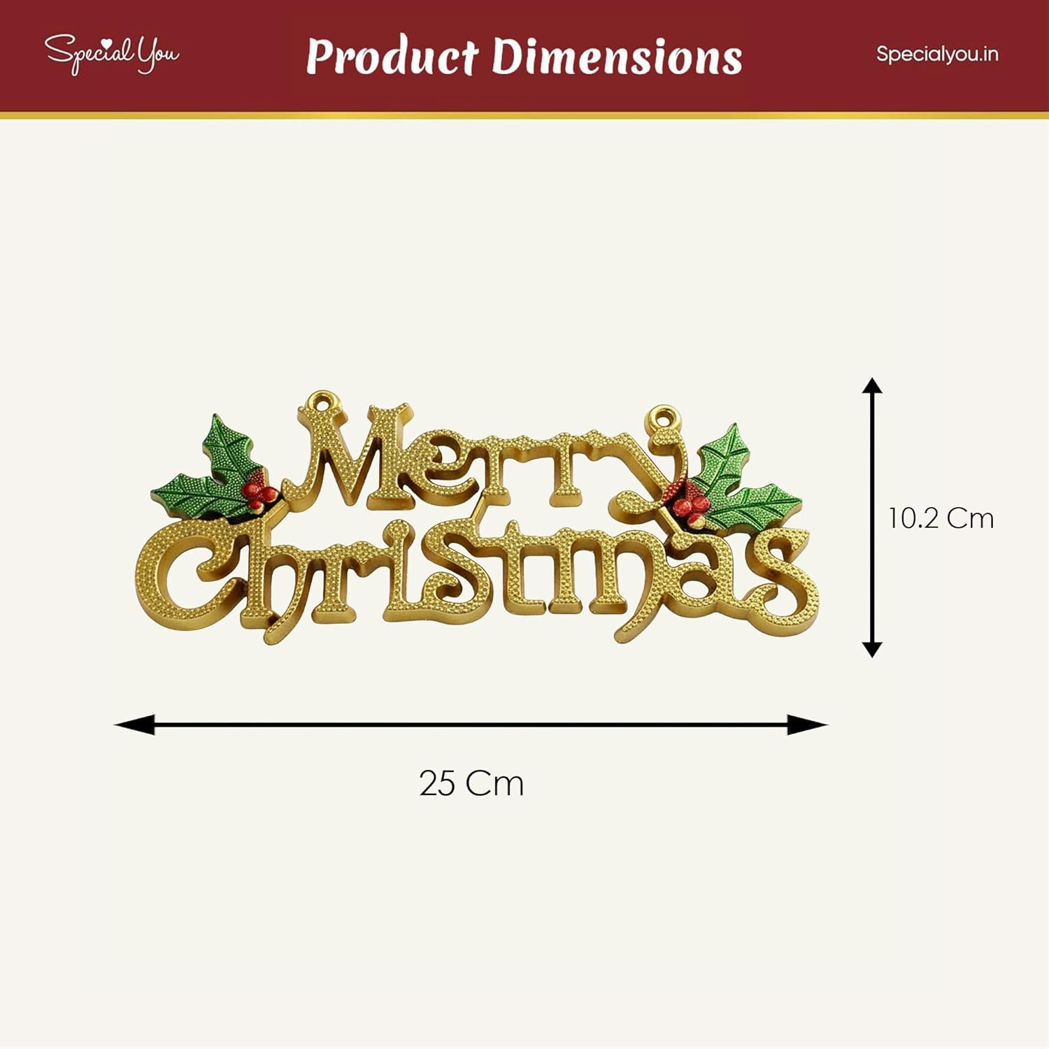 Merry Christmas Hanging