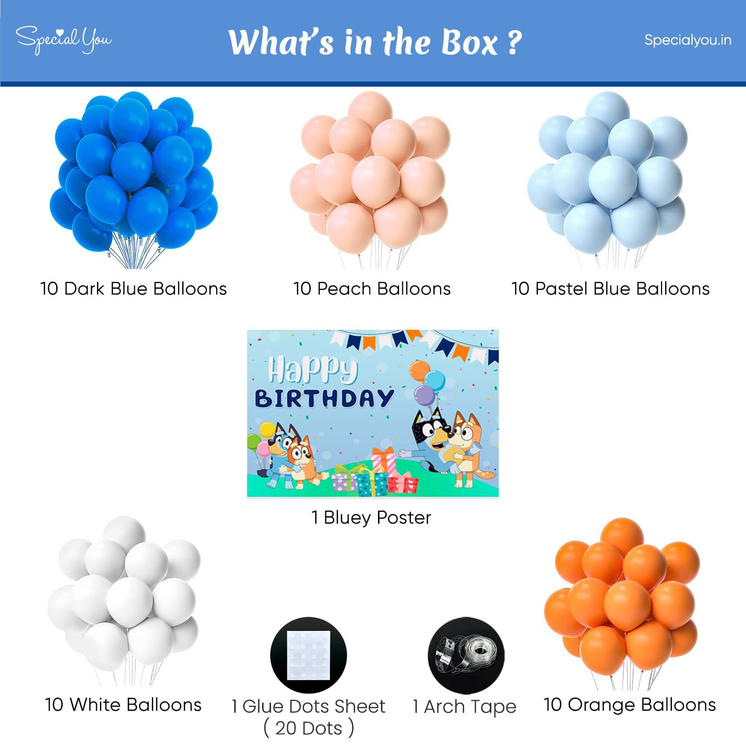 Bluey Theme Birthday decor for kids