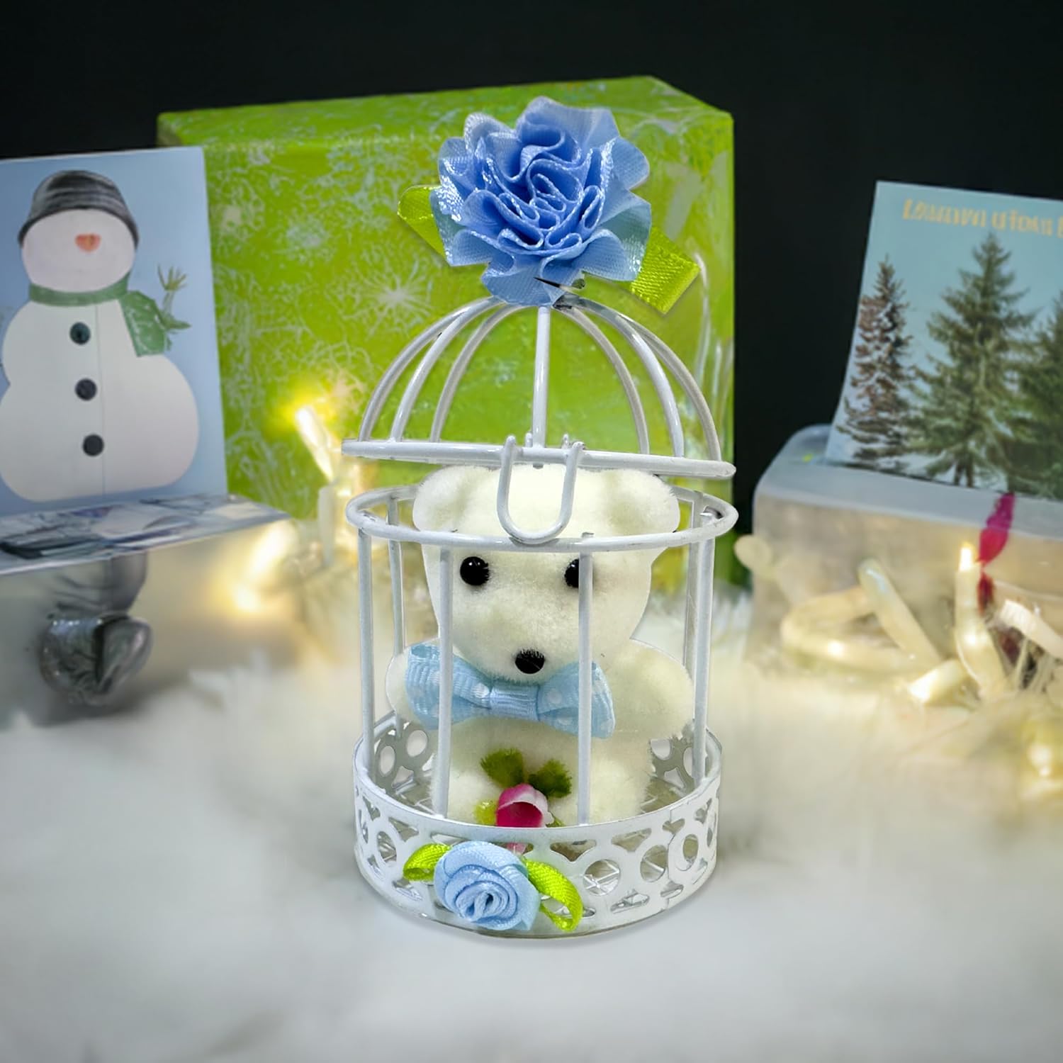 Blue Teddy Cage Gift