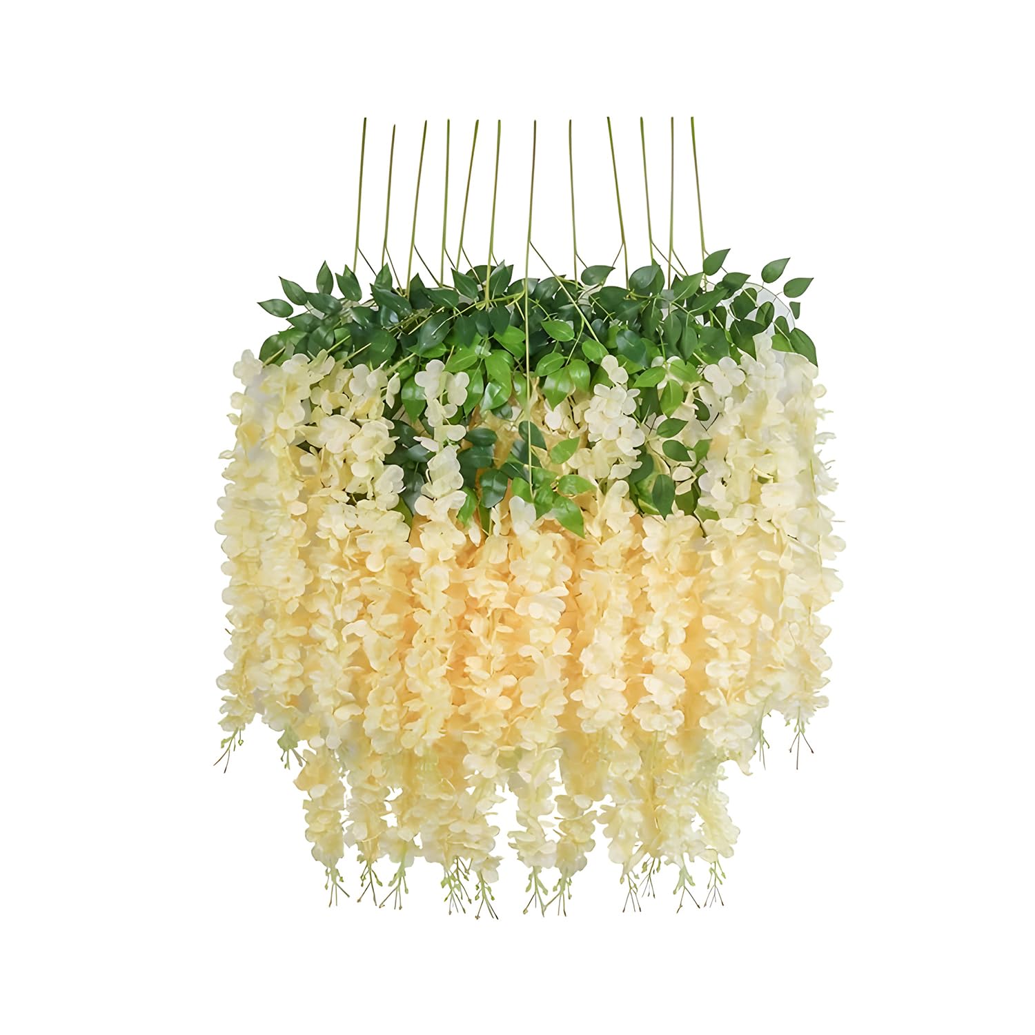 Cream Wisteria For Home Decoration
