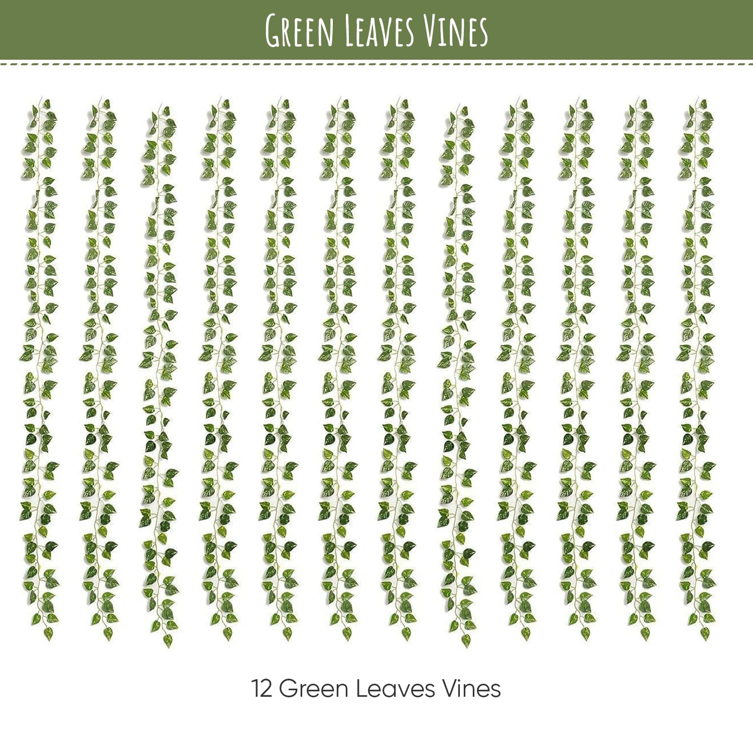 Attractive green vines for design in interiors