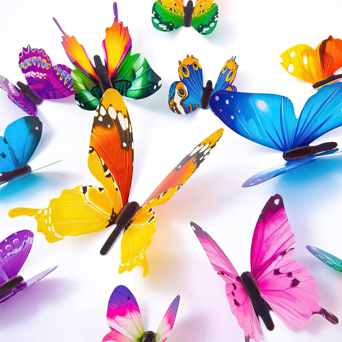 multicolored butterfly