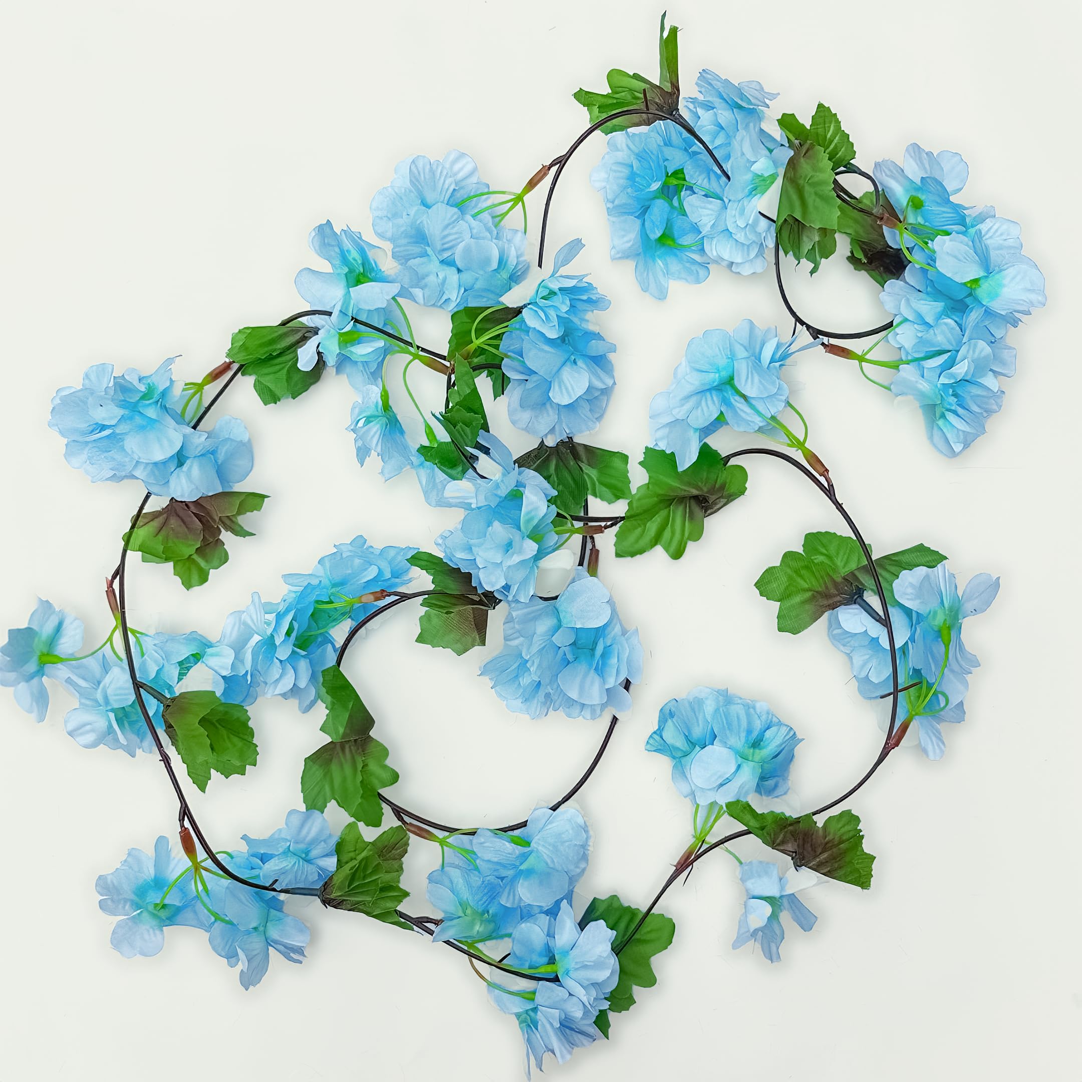 blue rose vine