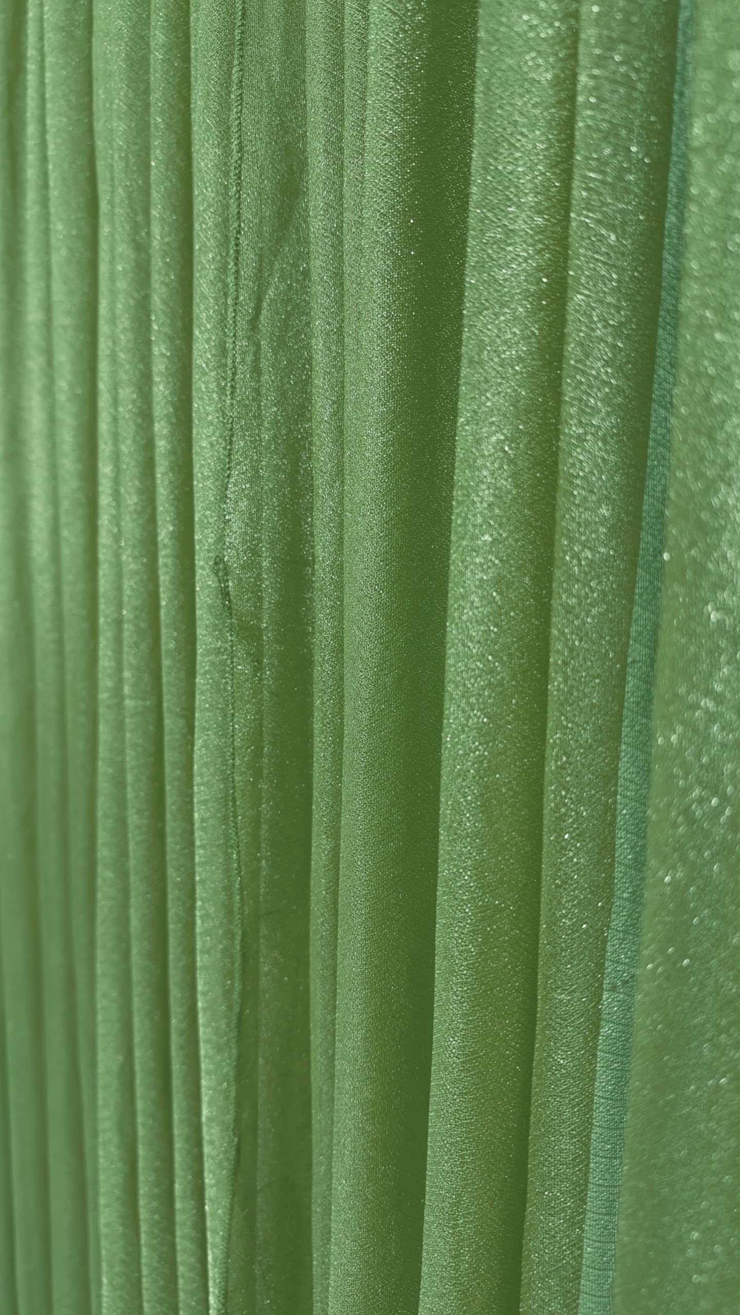 Dark Green Backdrop Ganpati Decor