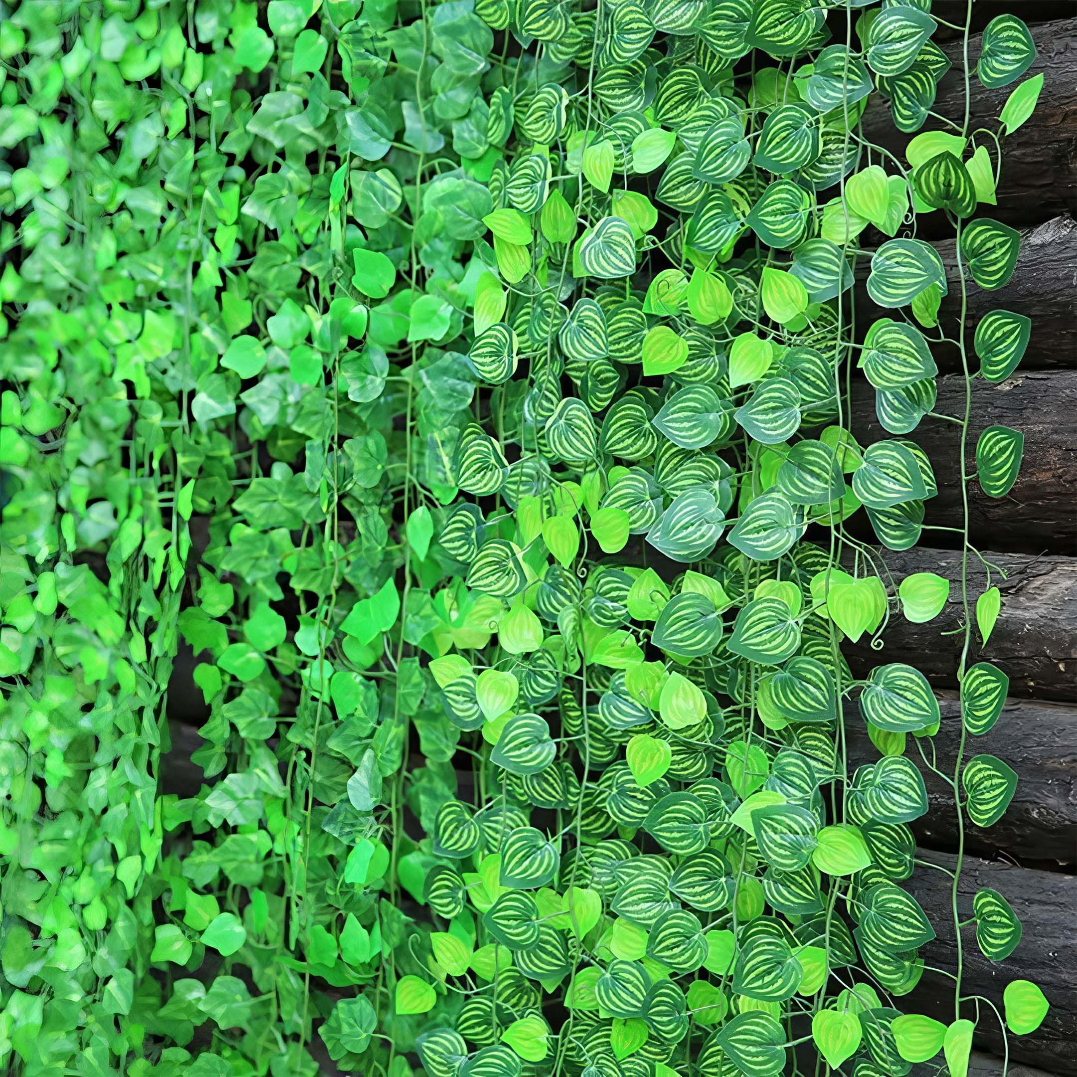 money plant decoration at home Money Plant Decor kit to decorate your Home