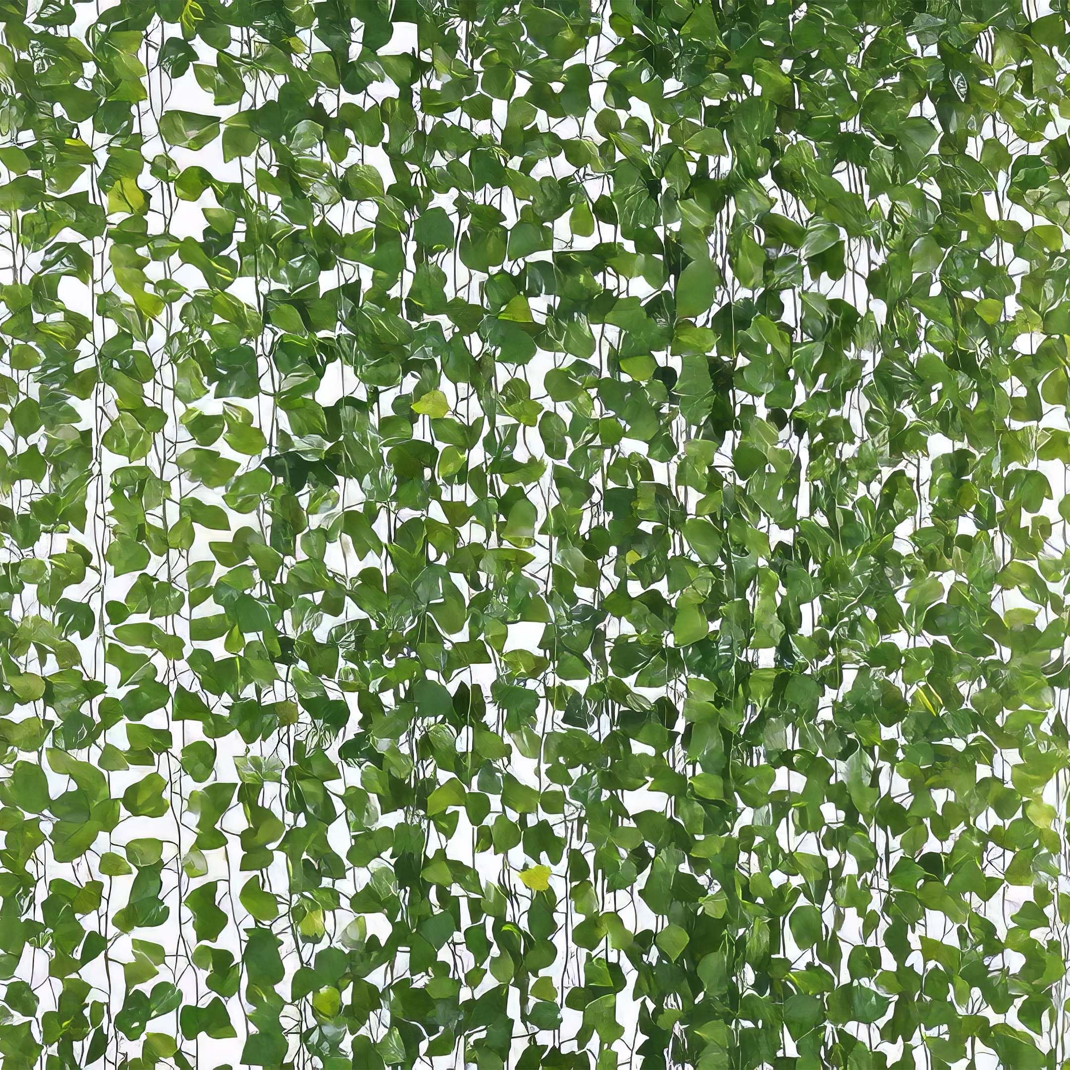 leaves vines